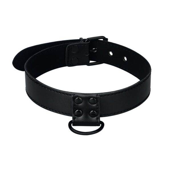 Collar with Leash Black Matt - Image 2