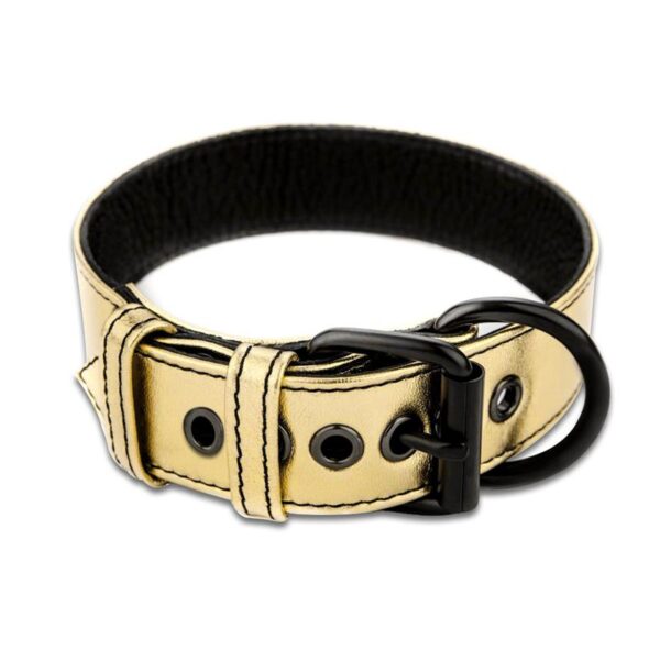 Collar with Leash Bondage Gold - Image 2