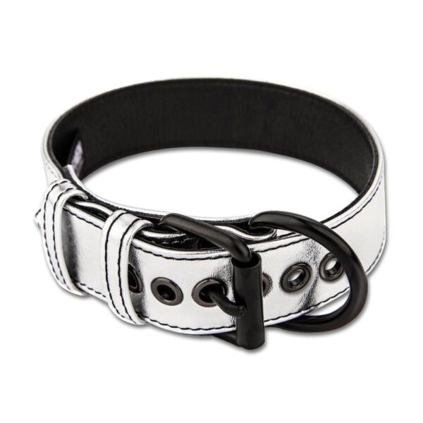 Collar with Leash Bondage Silver - Image 2