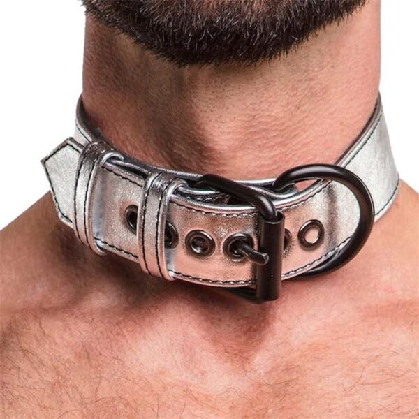 Collar with Leash Bondage Silver - Image 4