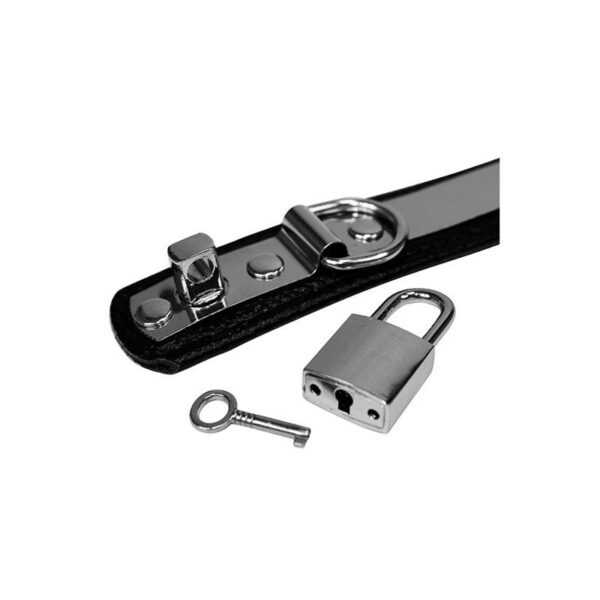 Collar with metal and padlock-Adjustable - Image 3