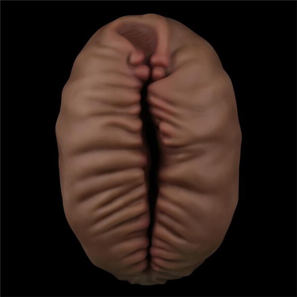 Masturbator Aliens Pie 2 - Image 4