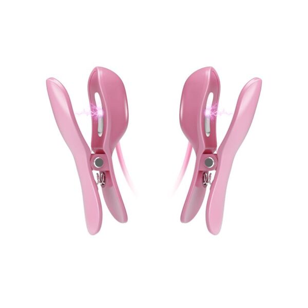 Niple Clamps with Vibration and Electro Shock - Image 5