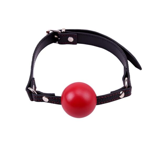 Red Ball Gag - Image 4