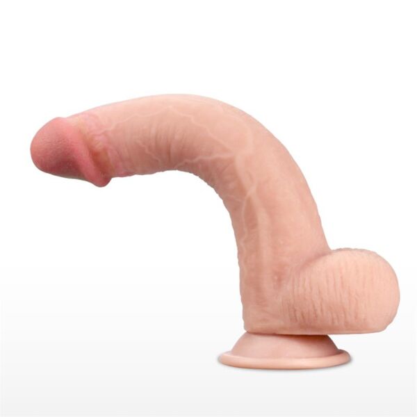 Sliding Dildo 9 - Image 2