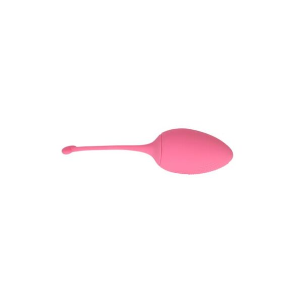 Vibrating Egg Remote Control Sweety Teaser USB 5.7 - Image 5