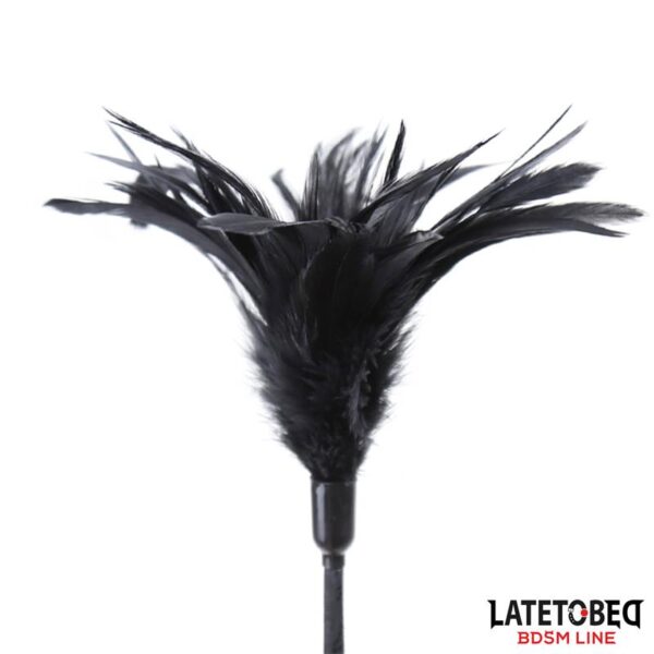 Multi Feathers Tickler and Lace Ribbon Paddle Comb - Image 4